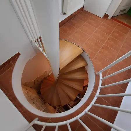 Zoeld Beka Koelcsey Iii